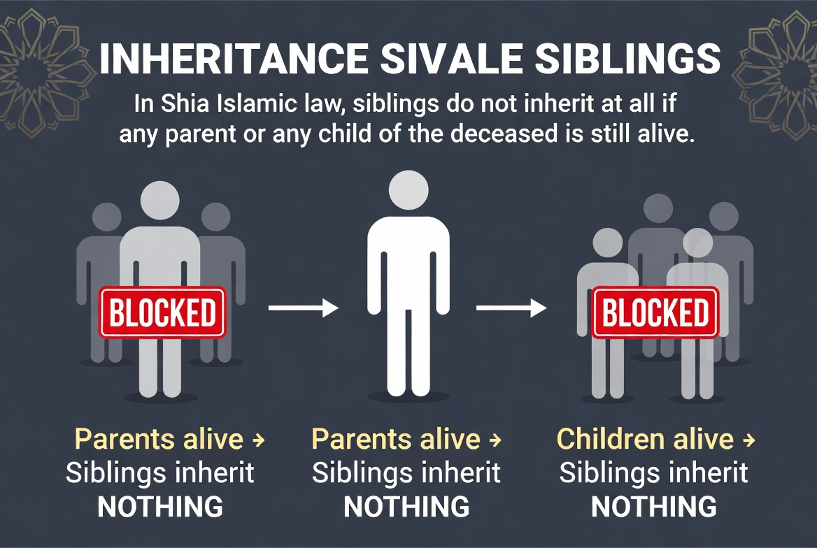 Infographic depicting the special inheritance rules for parents and siblings in Shia Fiqh.